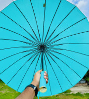 Premium 24 Ribs Umbrella (Paste)